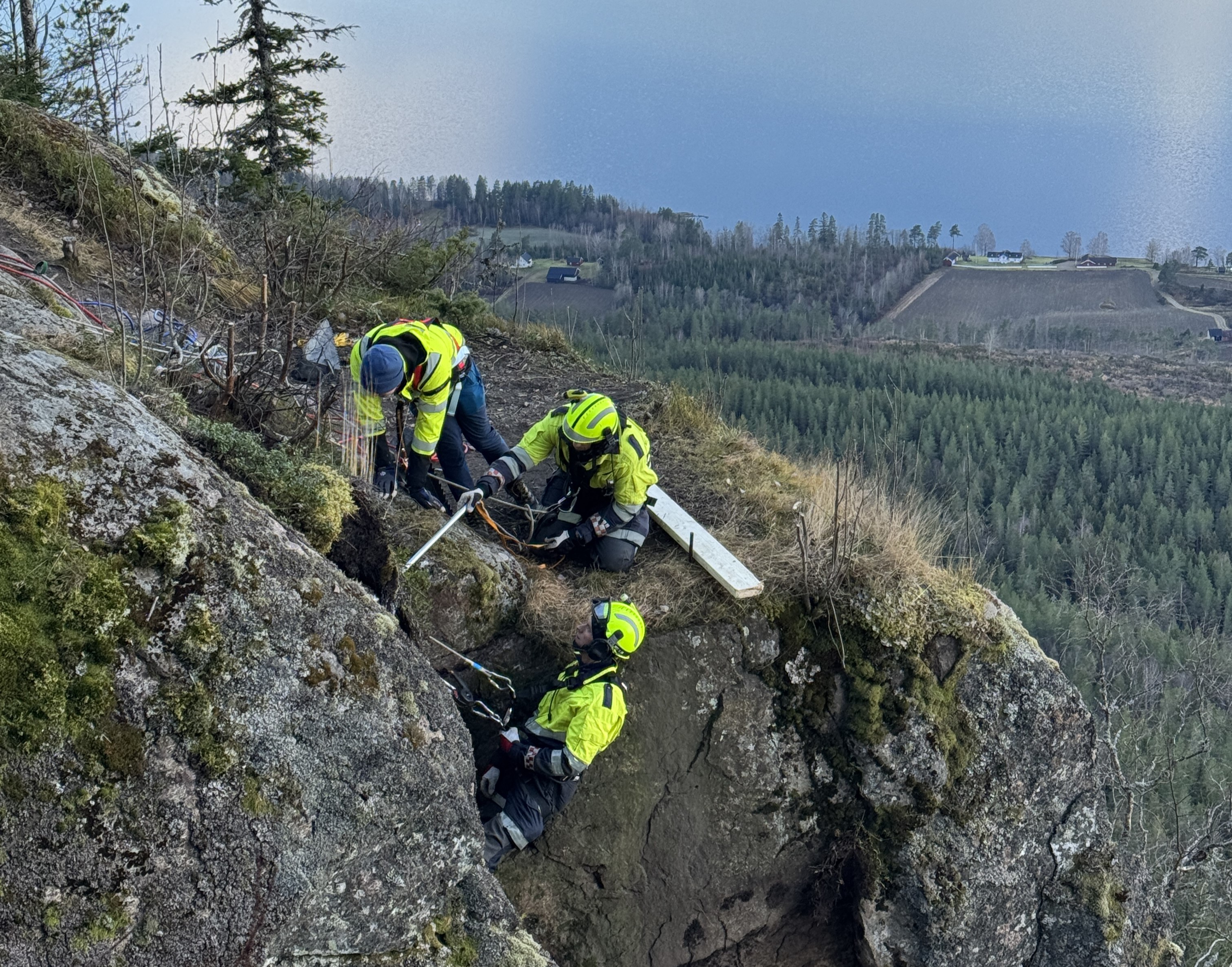 Bildet viser fjellrensken