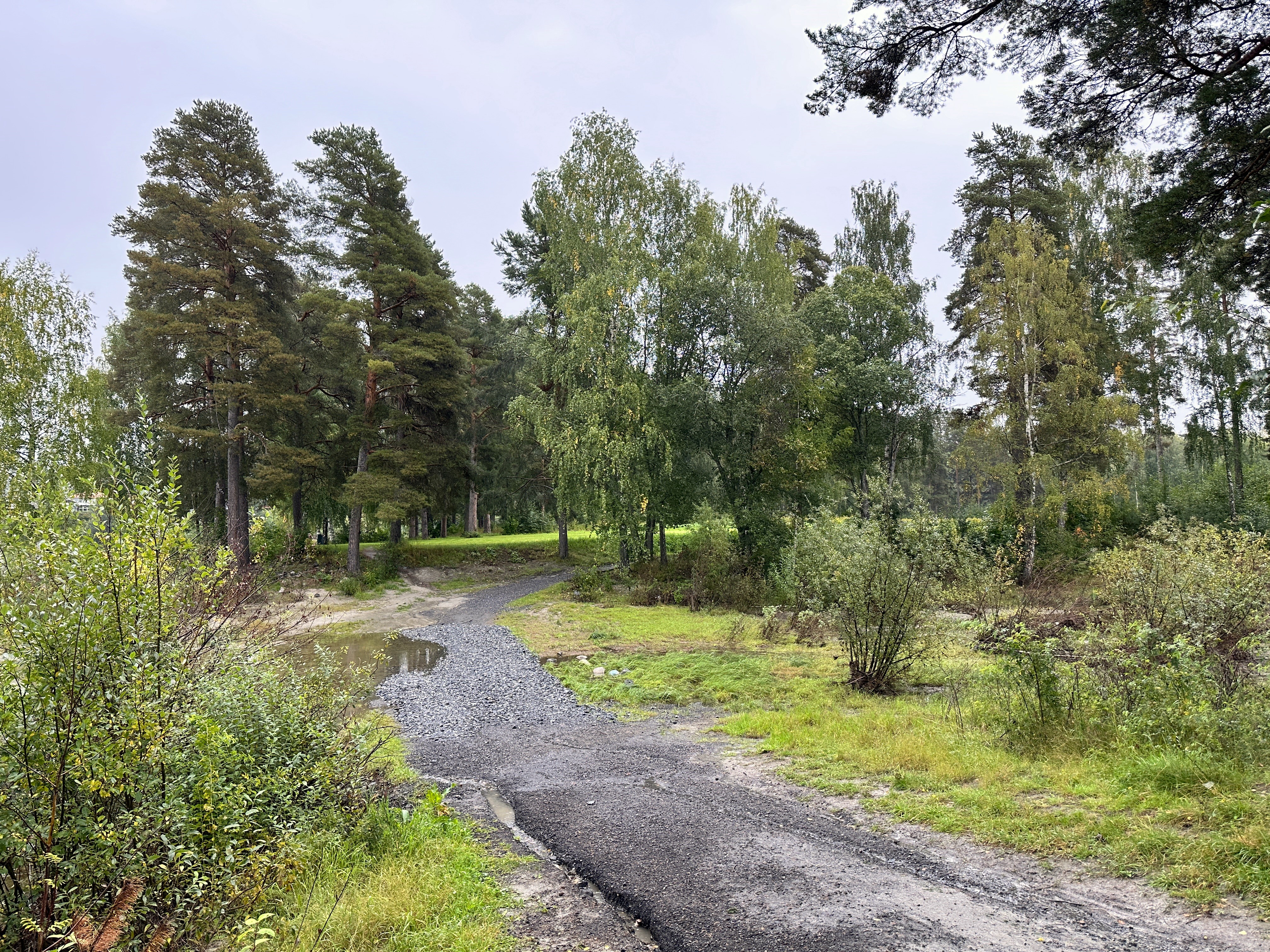 Bildet viser deler av Petersøya.