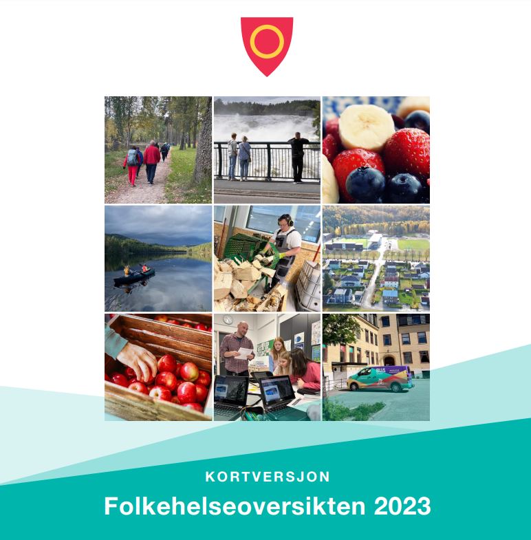 Bildet viser forsiden på folkehelseoversikten til Ringerike kommune